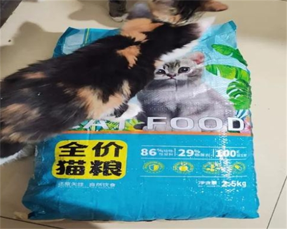 来看，尼可小花品牌猫粮好吗？