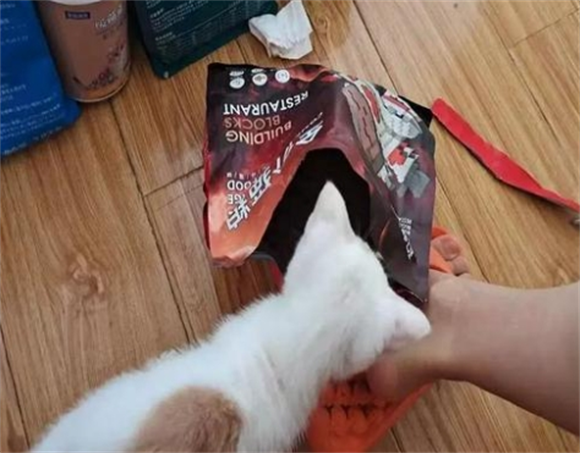 ‌积木餐厅猫粮质量怎么样？看这篇文章
