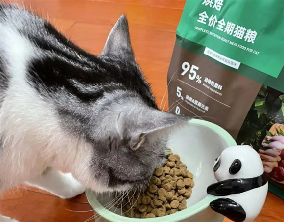 露露凯蒂lulukitty猫粮：猫咪的最爱，营养满分！