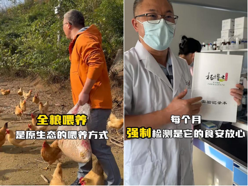 杨博士土鸡:我来自深山,在餐桌“盛开” 杨博士土鸡:我来自深山,在餐桌“盛开”