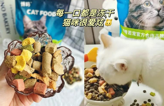 博玛豪华七拼冻干猫粮：让猫咪爱不释口的营养盛宴‌