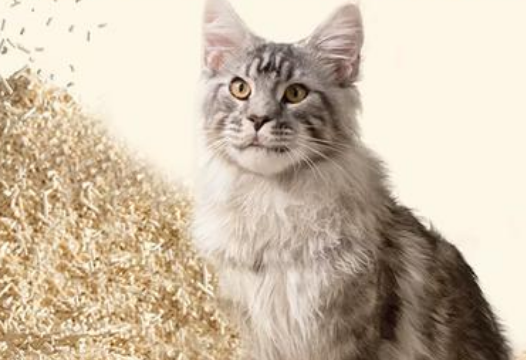 恋猫恋狗猫砂大解析~ 恋猫恋狗猫砂大解析~