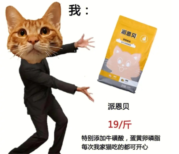 派恩贝猫粮，猫咪健康成长的秘密武器