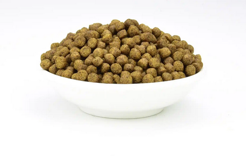 鲤余全价烘焙猫粮的介绍,你们了解多少? 鲤余全价烘焙猫粮的介绍,你们了解多少?