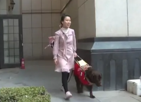 导盲犬陪同就医被拦，折射导盲犬的稀缺