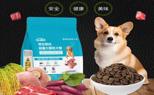 银合鱼说