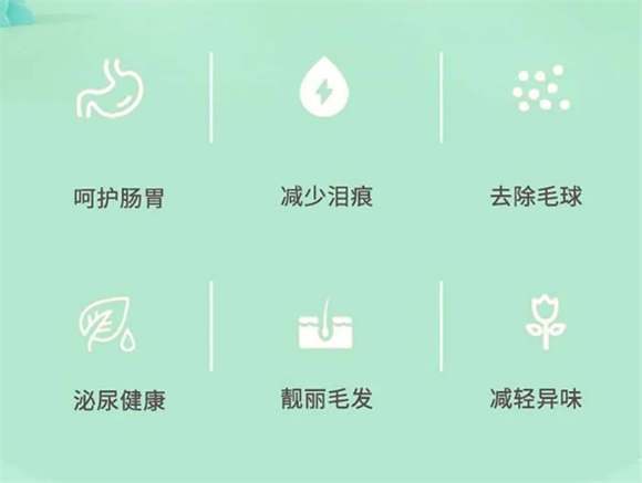 KityKiss猫粮,猫咪健康美味的秘密武器 KityKiss猫粮,猫咪健康美味的秘密武器