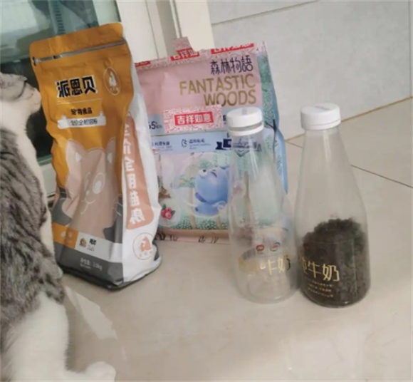 派恩贝猫粮，猫咪健康成长的秘密武器