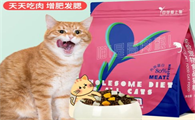 豆芽爱上猫猫粮可以代卖吗