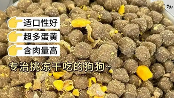 狼京宠物粮:更好的呵护宠物健康成长 狼京宠物粮:更好的呵护宠物健康成长