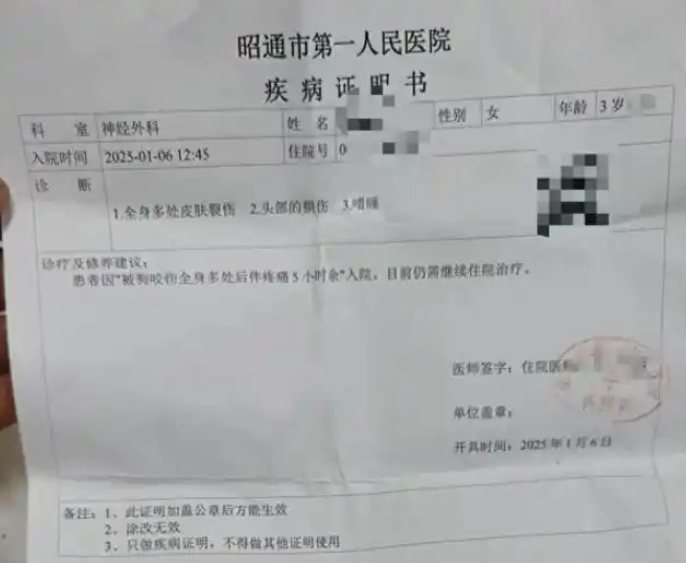 女童遭狗撕咬在ICU昏迷未醒，已筹款30万，父亲发声