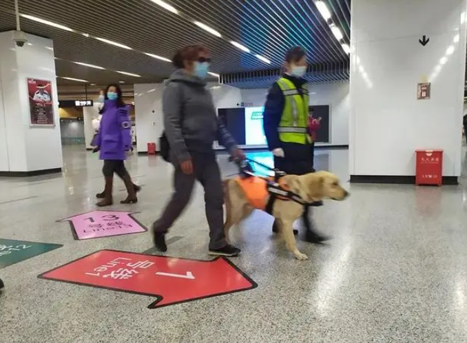 上海一盲人崩溃!申请导盲犬被拒绝,只因对门怕狗…… 上海一盲人崩溃!申请导盲犬被拒绝,只因对门怕狗……