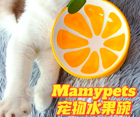 Mamypets 宠物陶瓷碗：猫咪用餐的精致之选