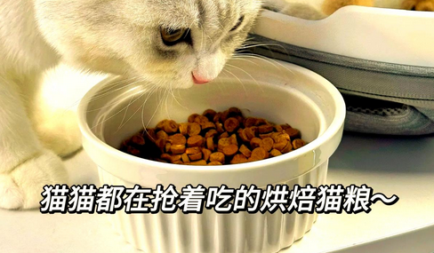 东方甄选猫粮:更好的呵护猫咪健康 东方甄选猫粮:更好的呵护猫咪健康