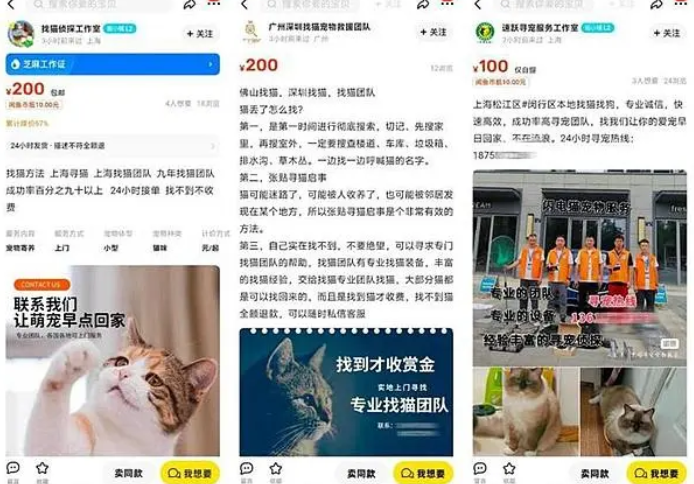 寻找一只猫一天至少走4万步!揭秘“宠物界的福尔摩斯” 寻找一只猫一天至少走4万步!揭秘“宠物界的福尔摩斯”