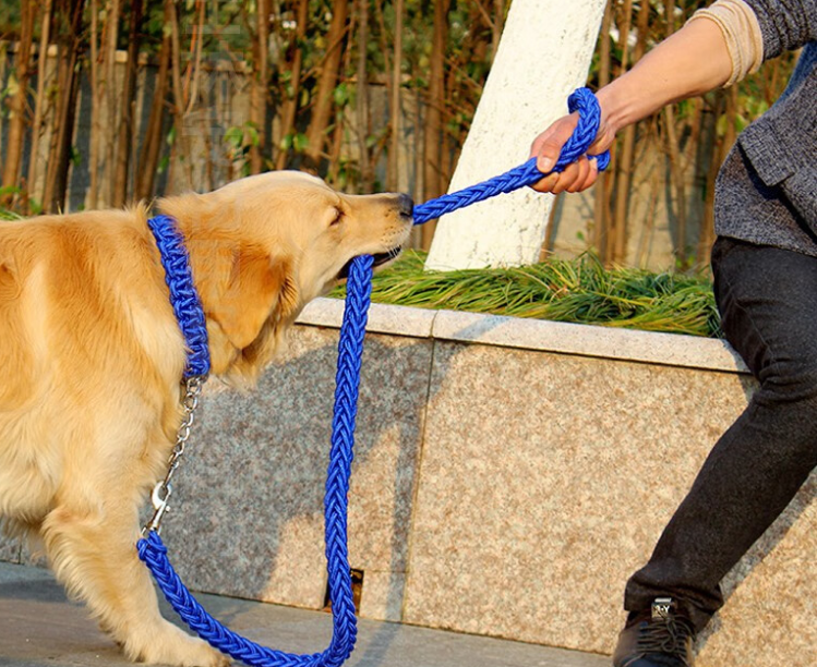 SLPC 狗绳，大型犬出行的安心之选