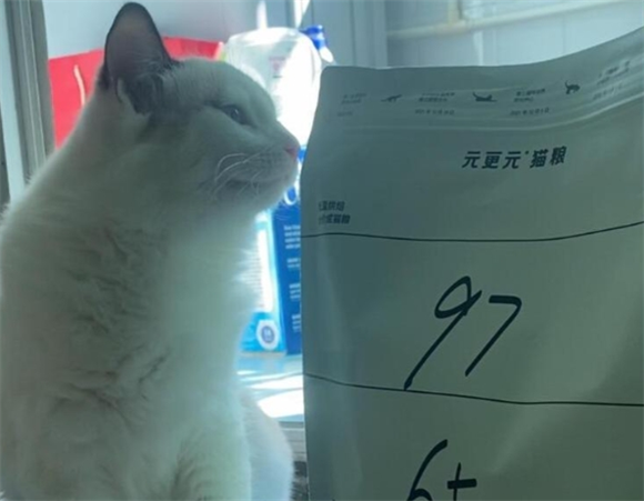 新手养猫必看!元更元猫粮真实体验分享 新手养猫必看!元更元猫粮真实体验分享