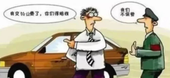 流浪猫狗“打架” “受伤”的车谁来赔? 流浪猫狗“打架” “受伤”的车谁来赔?