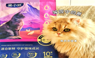 国产猫粮崛起！梁小妖猫粮值得一试