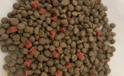 ‌GOYAPET狗粮：全面呵护狗狗的健康
