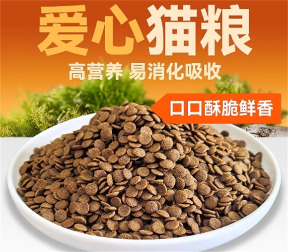 博林格猫粮,选择最适合的那一款 博林格猫粮,选择最适合的那一款