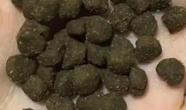 狼术猫粮是国产的吗 狼术猫粮是国产的吗