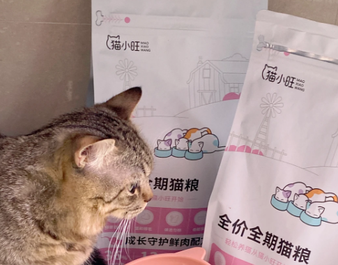 猫小旺功能粮：猫咪健康的新选择