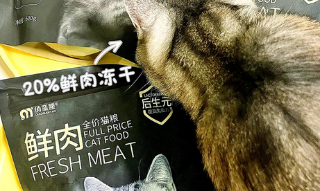 俏蛮腰猫粮：让猫咪健康的成长！