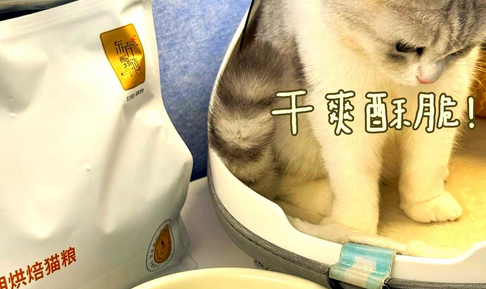 东方甄选猫粮:更好的呵护猫咪健康 东方甄选猫粮:更好的呵护猫咪健康