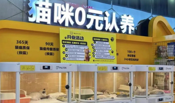 郑州“免费领养”宠物馆调查:实为“分期付款”,多人陷纠纷 郑州“免费领养”宠物馆调查:实为“分期付款”,多人陷纠纷