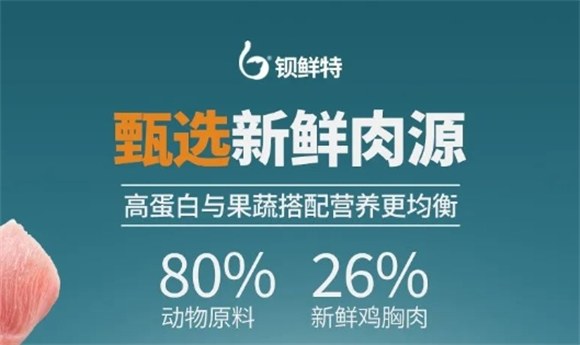 钡鲜特猫粮:爱宠的健康之选 钡鲜特猫粮:爱宠的健康之选