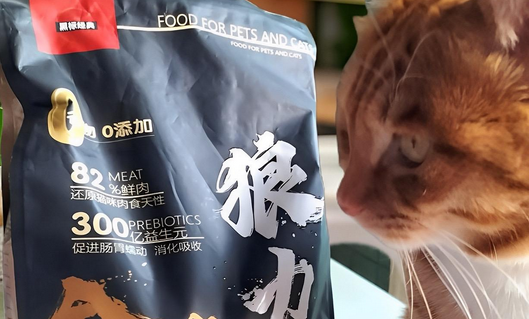 狼骑士猫粮好吗