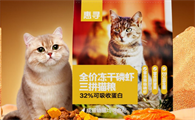 惠寻猫粮和阿飞哪个好