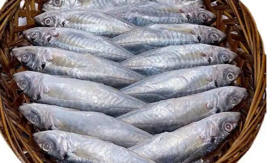 巴浪鱼和秋刀鱼哪个好吃