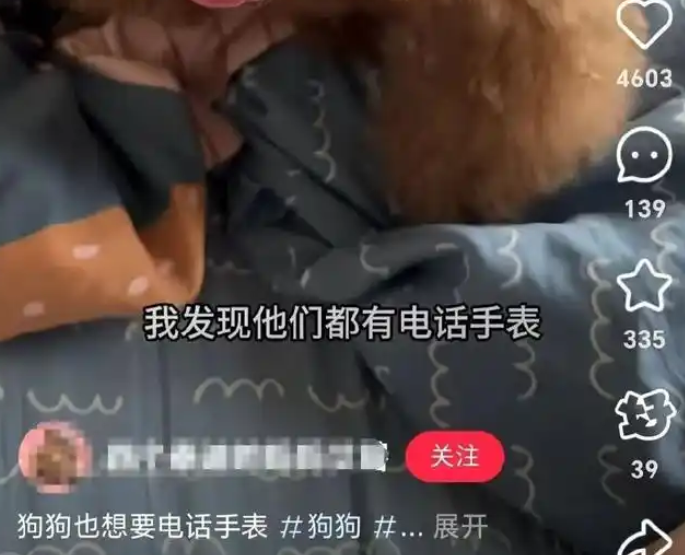 狗狗交朋友，已经用上小天才手表了