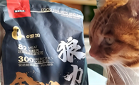 狼骑士猫粮好吗