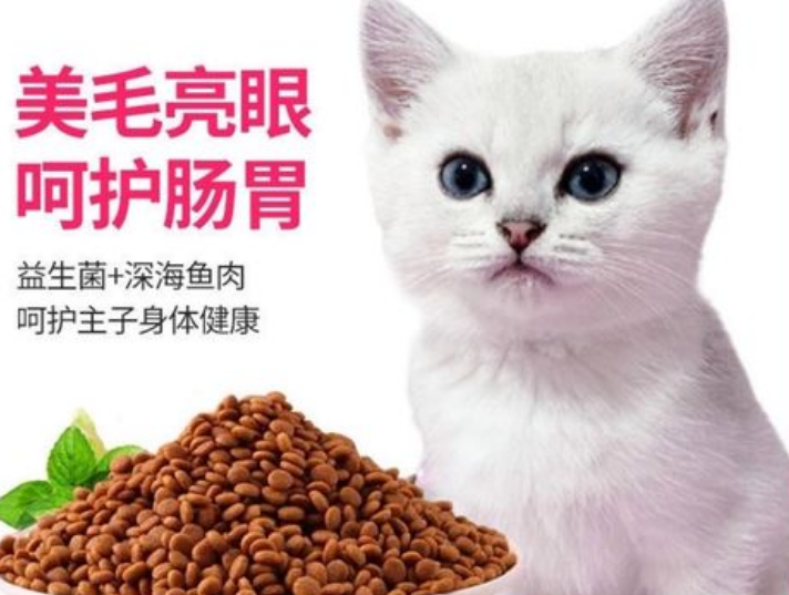 赶海的猫猫粮，为猫咪们的生活带来全新活力与健康保障