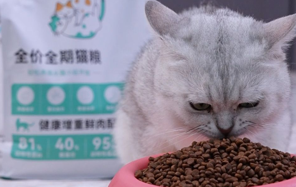 猫小旺猫粮：新手铲屎官的省心之选