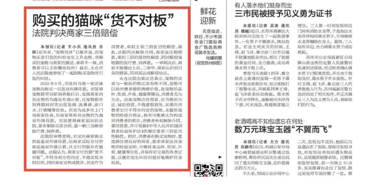 购买的猫咪“货不对板” 法院判决商家三倍赔偿