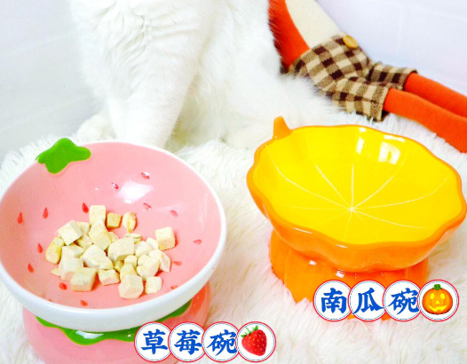 Mamypets 宠物陶瓷碗：猫咪用餐的精致之选