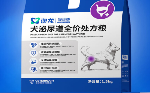 澳龙