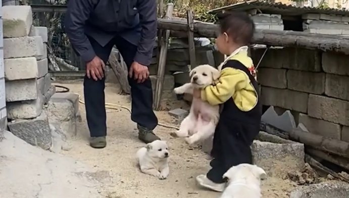 孙子怀抱小奶狗，一屁股坐到小狗身上