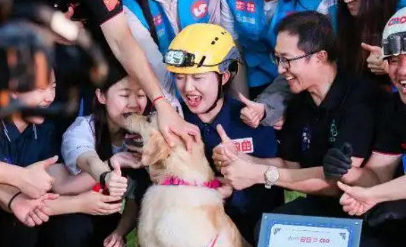 国内首个“流浪狗变身搜救犬”获成功