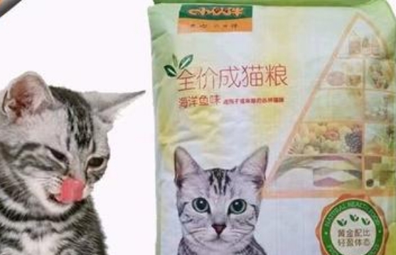 小伙伴猫粮怎么样