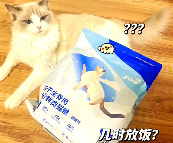 怡亲猫粮：营养与美味的双重选择