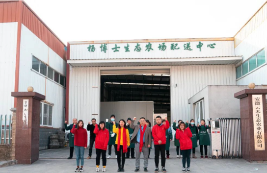 鸡中珍品：杨博士土鸡，味道与健康的双重承诺！