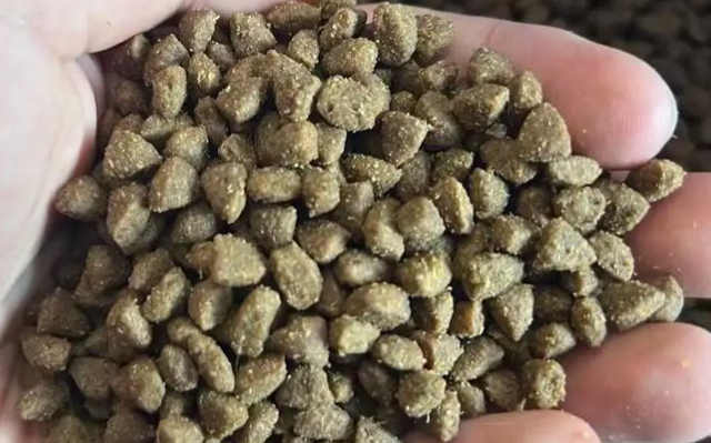 星每刻猫粮是膨化粮吗 星每刻猫粮是膨化粮吗