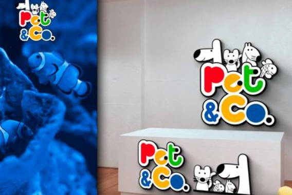 PEITE PET宠物产品用户体验 PEITE PET宠物产品用户体验