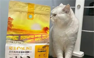 猫生猫粮的保质期是多久