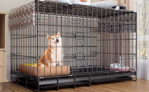 獒少保
